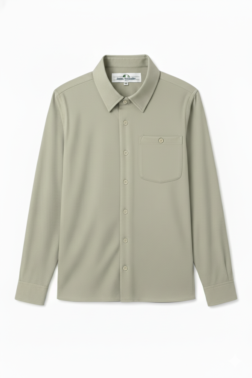 Celary Green Regular Fit Mens Button Down Shirt